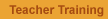 Teacher Training