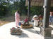 Sri Lanka Katirgama Dedication 2013 - 23 (click image to enlarge)