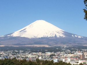 M.G. Satchidananda e os participantes do seminário de iniciação no terceiro nível em Kriya Yoga, no YMCA camp com vista do Monte Fuji, Japão, 19-25 de março 2015 - 2 (click image to enlarge)